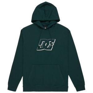 DC Shoes Hampden Sweat &agrave; capuche vert