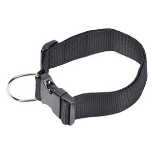 Image de Collier pour chien réglable de 50 à 70 cm x 40 mm