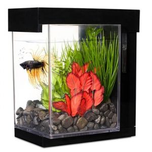 Marina Aquarium Ez Care Style pour betta - 3,78 L