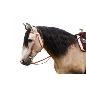 Randol's Bridons équitation pour cheval Two tone