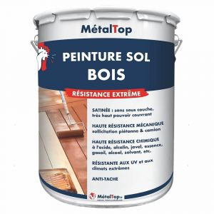 Peinture Sol Bois - Beige brun - RAL 1011 - Pot 1L