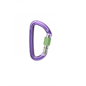 Wild Country Mousquetons Session Screw Gate One Size Purple / Green - Purple / Green - Taille One Size