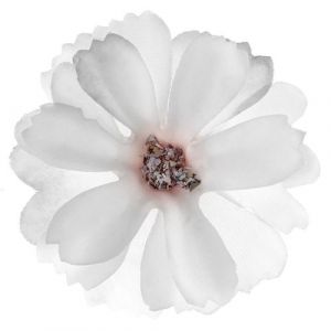 Ruedelafete 12 fleurs tissu 4.5x4.5cm blanc - chalayer 000803600000001