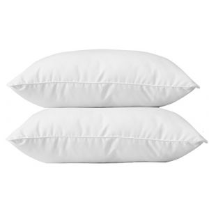 Blanrêve Blanc rêve Lot de 2 oreillers Anti-acariens 60 x 60 cm PHYTOPURE Confort Ferme