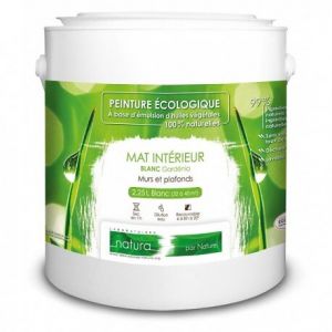 Vert Cactus-Peinture murale naturelle &eacute;cologique aspect mat int&eacute;rieur Natura - 2,5L