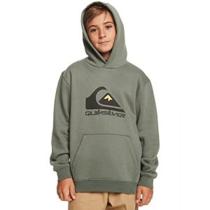 Quiksilver Sweat à Capuche BIG Logo Jungen L/14, Vert (Laurel Wreath)