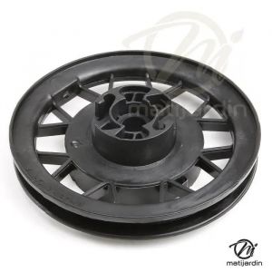 Kit réparation lanceur pour moteur Tecumseh