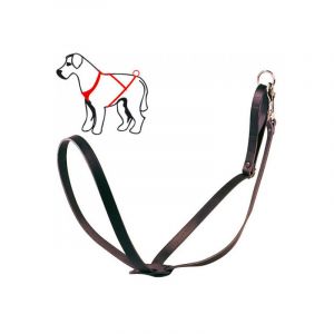 Difac Harnais de pistage type campagne pour chien