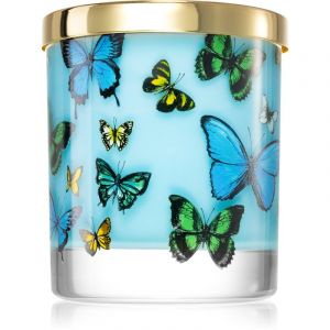 Castelbel Portus Cale Butterflies bougie parfumée 210 g