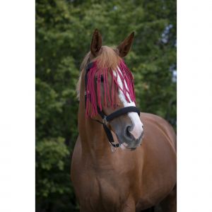 Norton clipper Frontal pour cheval Chasse-mouches
