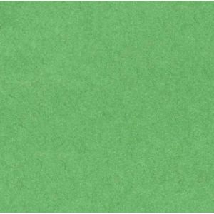 Canson Rouleau Papier de Soie - 20g - 50x50 - Vert Franc