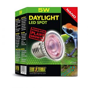 Exo terra Ampoule Diurne Pour Terrarium Daylight Led Spot Nano 5w