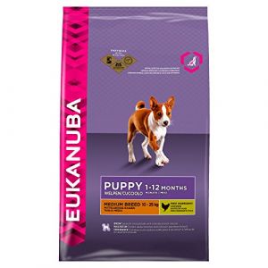 Eukanuba Croquettes pour chiot Race moyenne - 15 kg