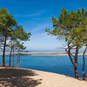 Artis Tableau sur toile bassin et arbres 90x90 cm