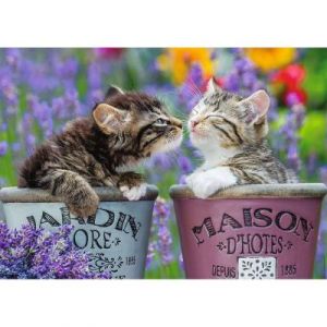 Nathan Puzzle 1000 pièces - Bisous de chatons - Adultes et enfants dès 14 ans - Puzzle de qualité supérieure - Encastrement parfait - Collection Tendresse - 12000918