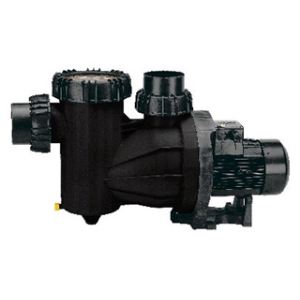 Procopi 52005300 - Pompe Badu 95/55 - 54m3/h triphasé