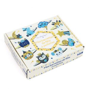 Coffret Barrettes à paillettes
