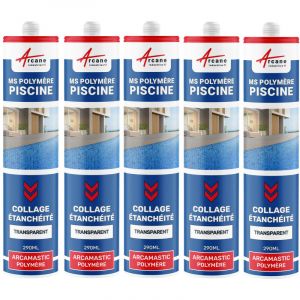 Arcane industries Mastic Piscine Polymère Collage et Étanchéité: ARCAMASTIC POLYMERE - 5 x 290 ML Transparent