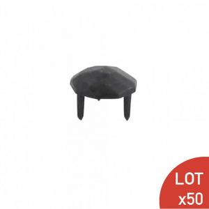 Cac vis noir SECURY T Monaco Lot de 50