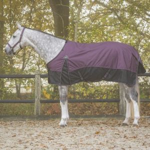 Couverture pour cheval QHP Collection 50 g