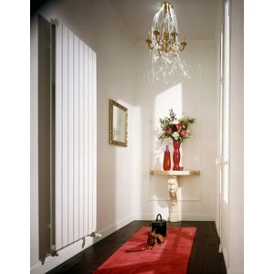 Image de Acova HXD-220-103 - Radiateur eau chaude Fassane vertical double 3416 Watts