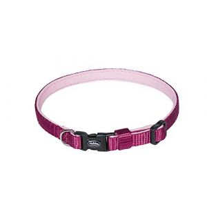 Nobby Collier pour chien mini Pet Classic Preno