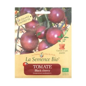 Image de La Semence Bio Graines Tomate Black Cherry