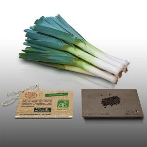 100 Graines Bio À Semer - Le Grenier D'abondance - Poireau Farinto - Certifié Ab - Allium Porrum