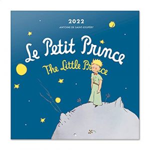 Grupo erik Calendrier 2022 Le Petit Prince - 12 Mois | Calendrier Mural, De Janvier à Décembre 2022 | 30 x 60 cm, 6 langues, 1 Poster Inclus, Certifié FSC