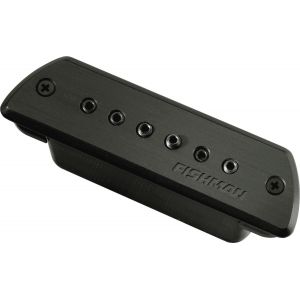 Image de Fishman Blackstack double bobinage passif pour rosace