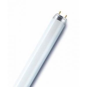 Osram L 58W 76 Lumilux Natura | 150cm
