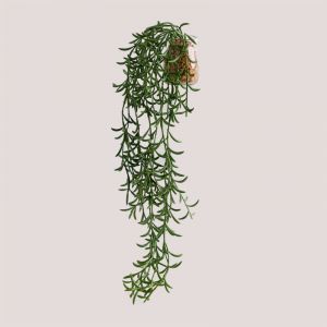 Plante Suspendue Artificielle Décorative Senecio Radicans SKLUM Vert Foncé ?50 cm