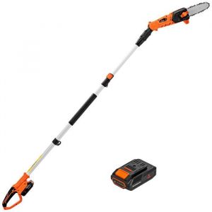 Lagueuse Électrique sur Perc sans Fil Batterie 20V Manc Télescopique Entre 198 274 cm, Taille Haie Réglable Coupe Branc 4,5m/s avec Guide