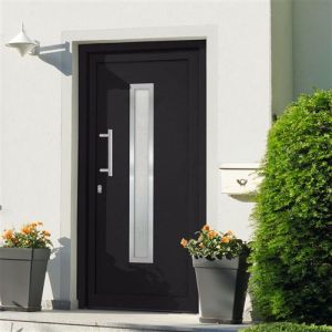 VidaXL Porte d'Entrée Principale Sécurité Maison Extérieur Charnières Réglables 3D Serrure à Tête de Champignon à 5 Points Anthracite 88x200 cm