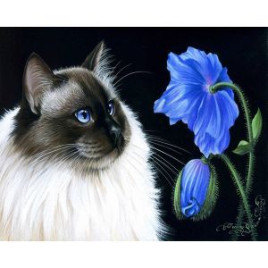 Peinture au num&eacute;ro : Face &agrave; face floral - sans ch&acirc;ssis en bois