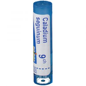 Image de Boiron Caladium Seguinum 9 ch - 80 Granules hom&eacute;opathiques