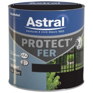 Image de Astral Pool Peinture Protect'fer brillante 0.5 L - noir - Peinture antirouille Peinture métal - ASTRAL