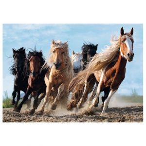 Image de Trefl Chevaux - Puzzle 1000 pièces