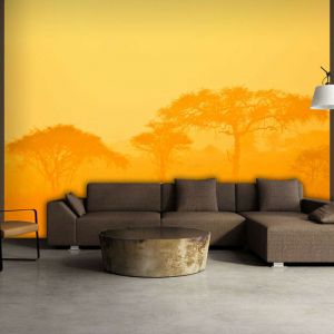 Artgeist Papier peint - Orange savanna 300x231