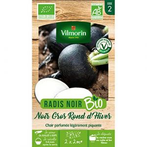 Image de Vilmorin Sachet graines Radis Noir Gros Rond d'hiver BIO