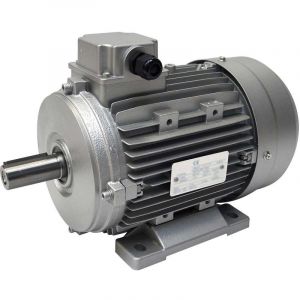 Almo Nature Moteur &eacute;lectrique 400/700V, 5.5Kw, 1500 tr/mn