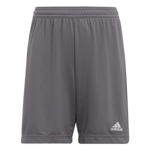 Image de Adidas ENT22 SHO Y Shorts, TEGRFO, 176 Unisex Kids