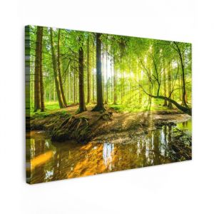 TABLEAU SUR TOILE For&ecirc;t - Paysage - Eau - Arbres - Soleil - Vert - Nature Decoration Murale Peinture Salon 120x80 cm