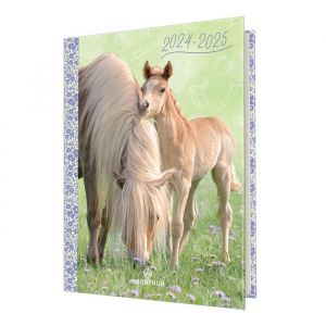 Oberthur Agenda scolaire Cheval Poulain 2024-2025