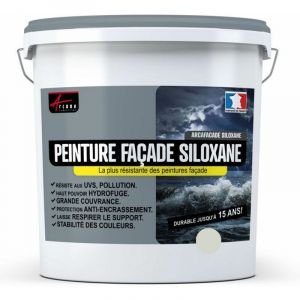 Arcane industries Peinture Étanche Façade Siloxane DURABLE JUSQU A 15 ANS 10L (+ ou - 60m² en 1 couche) Gris Clair (Ral 9002).