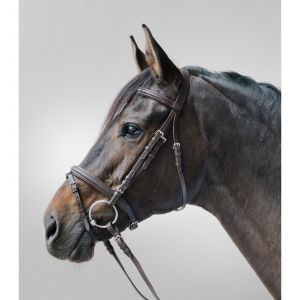 Bridon équitation muserolle combinée Star Lifestyle