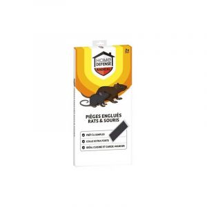 HOME DEFENSE Pi&egrave;ges Englu&eacute;s Contre Rats et Souris