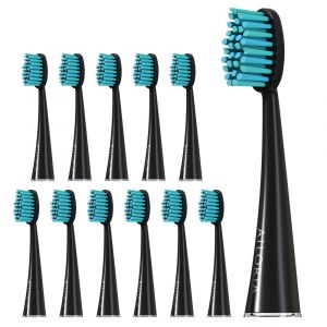 Têtes de brosse AILORIA SHINE BRIGHT Noir lot de 12
