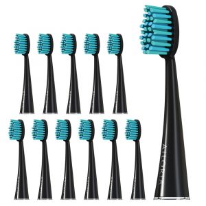 Têtes de brosse AILORIA SHINE BRIGHT Noir lot de 12