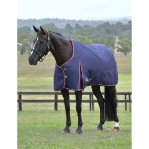 Weatherbeeta Couverture d'ext&eacute;rieur pour cheval Comfitec Essential 220g